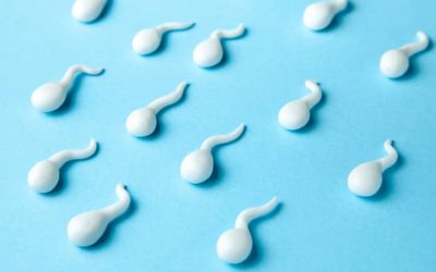 Let’s Talk about Sperm Analysis!