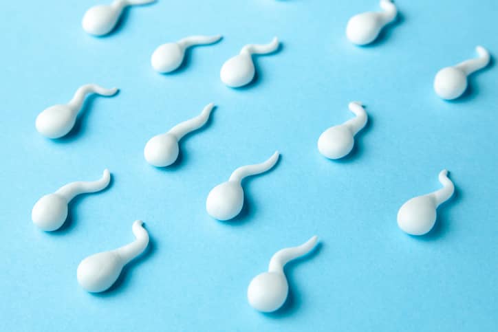 Let’s Talk about Sperm Analysis!