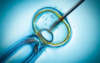Supplementing During IVF – What To Take And Why