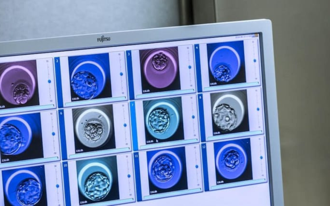 What Is The Difference Between Fresh And Frozen Embryo Transfer?