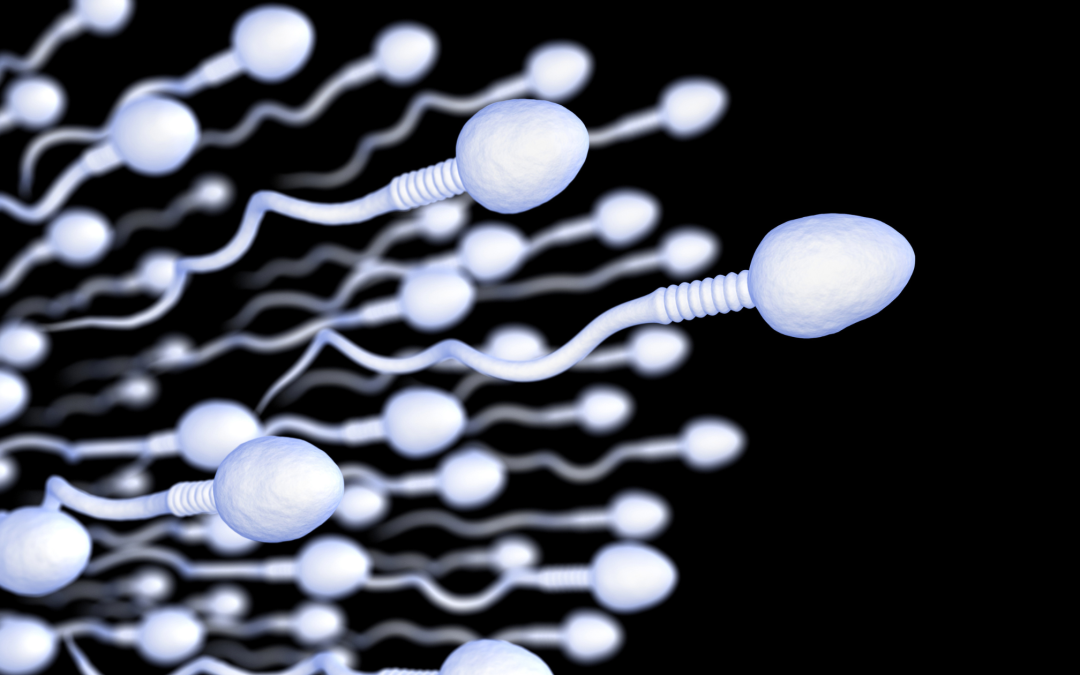 Facts About Sperm You Possibly Didn’t Know