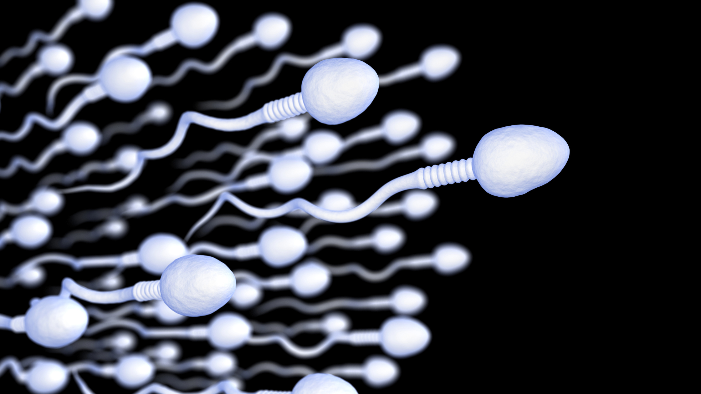The Fertility Shop - Facts about sperm
