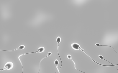 4 Ways Your Semen Microbiome Could Be Affecting Your Fertility