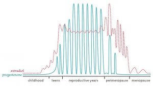 How Does Perimenopause Affect Your Fertility